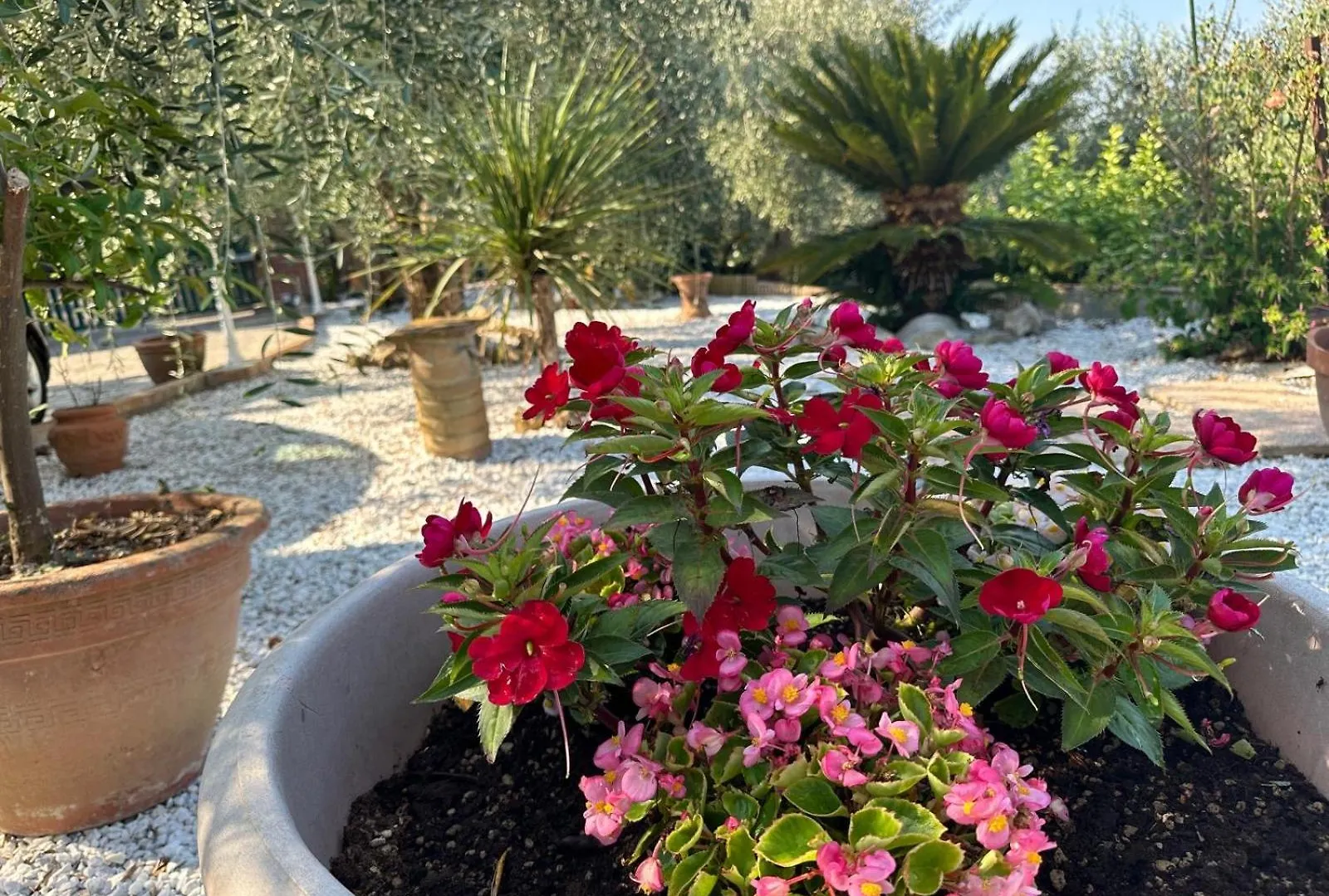 Agrihome Di Alberto Giuseppe Gulotta B&B Bella Vista Appartamento Salvia Massarosa Itálie