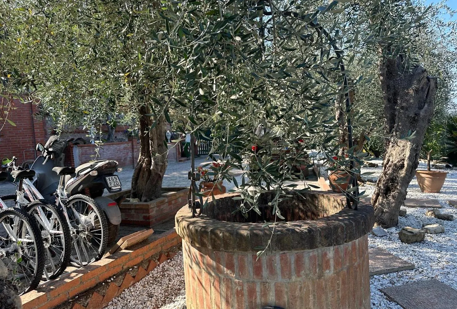 Agrihome Di Alberto Giuseppe Gulotta B&B Bella Vista Appartamento Salvia Massarosa 0*,