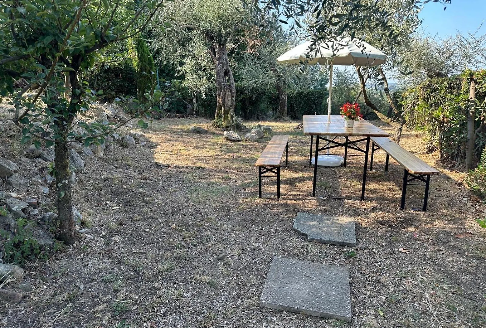 Agrihome Di Alberto Giuseppe Gulotta B&B Bella Vista Appartamento Salvia Massarosa Itálie