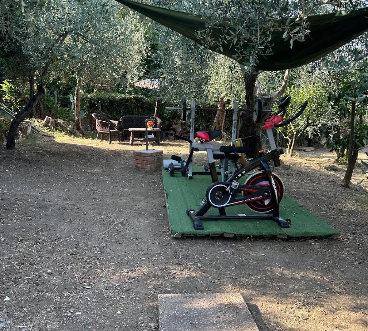Apartmán Agrihome Di Alberto Giuseppe Gulotta B&B Bella Vista Appartamento Salvia Massarosa Itálie